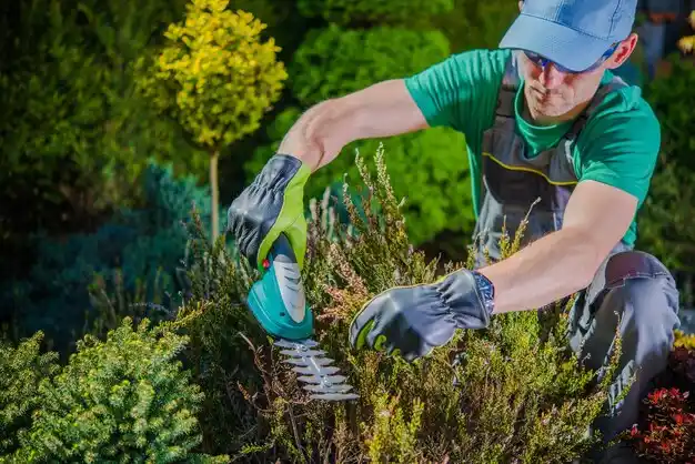 landscaping services Chillicothe